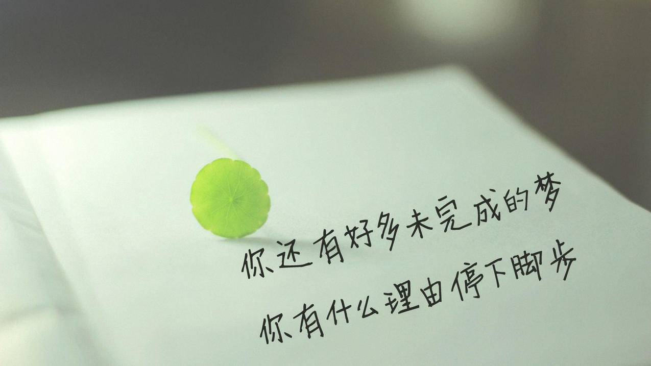 刷各种业务网站,免费