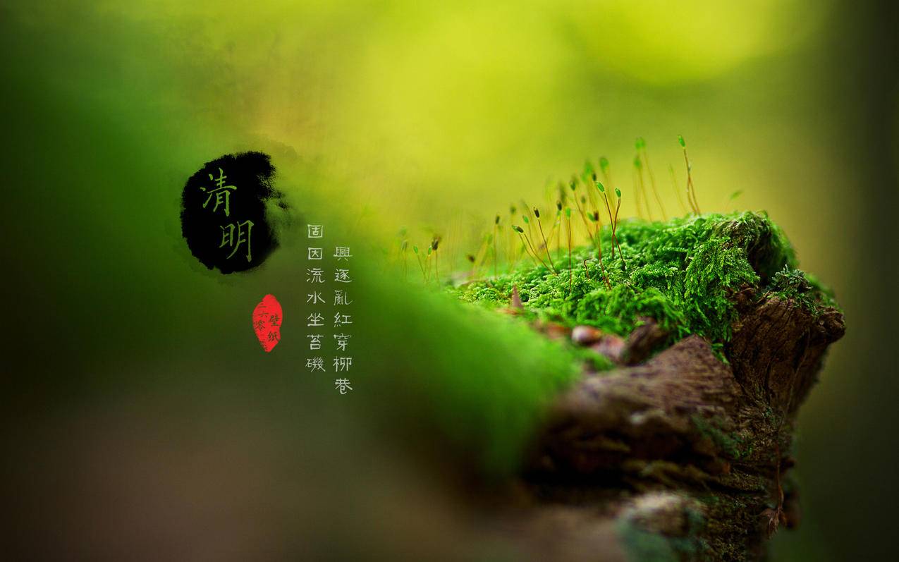 小妹网络代刷网-武松低价qq刷空间说说赞
